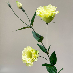 Fleur Artificielle Bouquet Eustoma à 3 Têtes Décoration Maison Floriculture Fleur Artificielle Haut de Gamme <span class=keywords><strong>Ranunculus</strong></span> <span class=keywords><strong>Asiaticus</strong></span> - Product Image 1