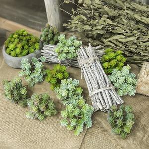 Produttore all'ingrosso 24 forcella immortali <span class=keywords><strong>semi</strong></span> di simulazione pianta succulenta decorazione di nozze <span class=keywords><strong>fiori</strong></span> artificiali - Product Image 1