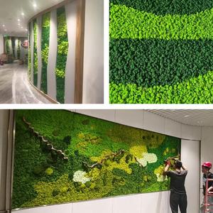<span class=keywords><strong>Tableau</strong></span> mural en <span class=keywords><strong>mousse</strong></span> verte véritable avec cadre en bois, peintures de plantes artificielles de haute qualité pour la décoration intérieure, aménagement paysager et décorations de Pâques - Product Image 4
