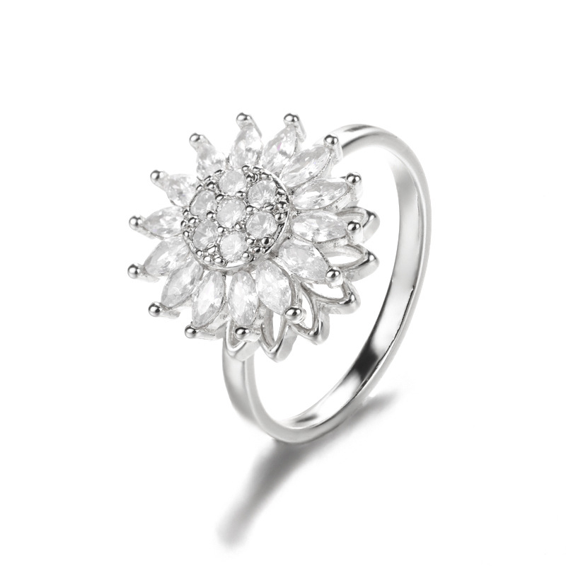 P7293825-Silver