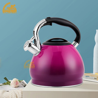 Bouilloire à thé en acier inoxydable à fond à induction pour cuisinière à gaz chinoise, bouilloire sifflante avec revêtement coloré