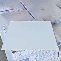 Mejor Precio, Panel de Techo de PVC Personalizable, Revestimiento de Aluminio, Resistente al Fuego, a la Humedad y al Agua