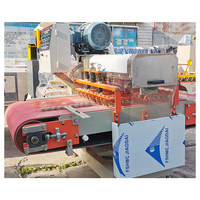 Découpeuse continue automatique professionnelle de tuile de mosaïque de disque de l'usine chinoise pour l'exportation traitant le coupeur de tuile