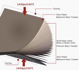 XDF 304 Thép Không Gỉ Nhà Vệ Sinh Phân Vùng Phần Cứng/Phòng Tắm Tủ Phụ Kiện Thiết Lập/Phụ Kiện - Product Image 4