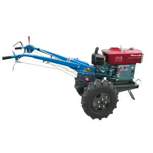 Grande adattabilità di vendita calda globale 2 ruote piccolo mini trattore agricolo usato con fioriere