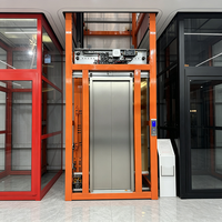 Ascenseur domestique à vis sans fin certifié CE, sans fosse, sans salle de machine, silencieux, pour villa résidentielle, personnalisable OEM, 2-5 étages