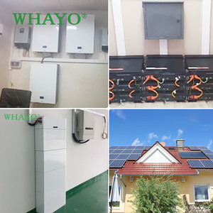 Sistema Solare Ibrido Residenziale Whayo con Integrazione alla Rete e Pacco Batterie Affidabile per Energia Sostenibile - Product Image 6