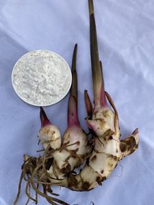 Almidón de arrowroot de la mejor calidad, harina en polvo blanco, tipo nativo de Vietnam. - Product Image 4