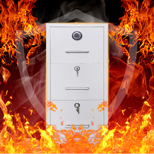 <span class=keywords><strong>Armoire</strong></span> de classement ignifuge de haute qualité, résistante au feu pendant une et deux heures, en carton, pour vente en gros, prix compétitif - Product Image 1