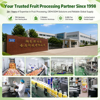 Lotlong Professional Factory Direct Wholesale Fresh Locked Fruit Bayberry Jam 1.2kg 9 Months Shelf Life Commercial Use