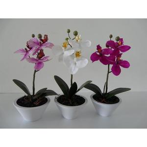 PHALENO POT 22CM - Product Image 1
