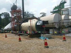 Chauffe-eau électrique industriel l, chaudière à huile <span class=keywords><strong>thermique</strong></span> avec câble au gaz ou au diesel, pour plantes en artz - Product Image 6
