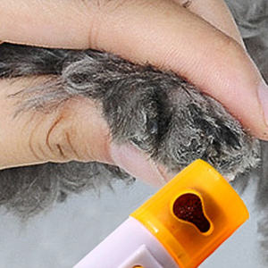 Tondeuse à ongles électrique pour animaux de compagnie, vente en gros, bon marché, pour chiens et chats, ensembles de toilettage, broyeur automatique pour animaux de compagnie - Product Image 6