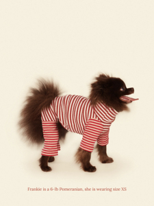 Roupas para Cães Pequenos e Greyhounds, Novo Modelo Fofo de Algodão para Primavera, Camisetas de Manga Longa |   Roupas Personalizadas de Alta Qualidade por Atacado - Product Image 5