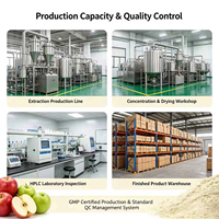 Fabrieksleverancier appelvruchtextractpoeder, natuurlijke lichtgele fruitkleur, appelaroma, grondstof, voedingsmiddelen- en cosmeticakwaliteit