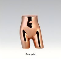 Accessoires de modèle de sous-vêtements électrolytiques pour femmes magasin de vêtements vitrine présentoir or blanc brillant maillot de bain sous-vêtements modèle factice