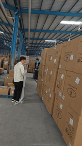 Профессиональный итальянский транспортный агент Италия судоходный агент - Product Image 3