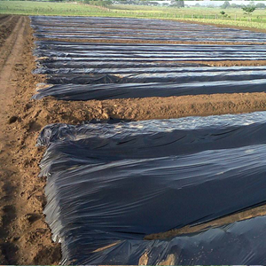 Feuille de paillage en plastique agricole PE, <span class=keywords><strong>film</strong></span> de paillette avec différents trous - Product Image 1