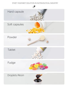Comprimés de L-Théanine et Caféine OEM, Chewing-gums Énergétiques, Menthes Énergétiques, Chewing-gums Sans Sucre, Complément Herbal Énergisant et Concentration - Product Image 4
