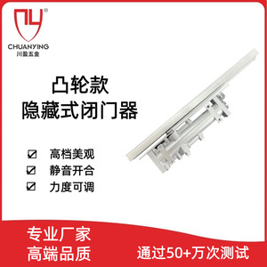 Cierrapuertas oculto tipo EN CAM CY 084 con fuerza ajustable de 15 a 55 kg para puertas de 800 a 1200 mm de ancho - Product Image 5