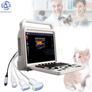 G-C3 3D 4D Echo machine ordinateur portable entièrement numérique Couleur Doppler vétérinaire échographie portable