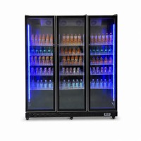 Réfrigérateur vertical à porte vitrée 550L Fabricant direct ISO 9001 48C Ambiante R290 LED