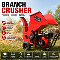 Mini Broyeur de Bois Diesel Autonome pour Jardin, Machine à Déchiqueter les Palettes, Vente Chaude en Chine