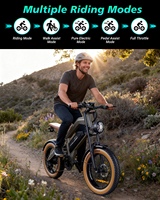 Vélo Électrique VTT Fatbike 750W 48V avec Batterie au Lithium pour Adulte – OEM/ODM