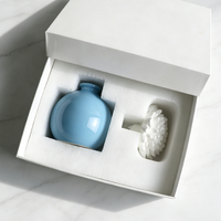 Diffuseur d'arômes Finru Reed en céramique avec huile essentielle, pour la maison, la salle de bain, cadeau décoratif
