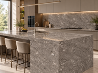 Dalles de marbre gris fossile de conque en pierre naturelle pour plateaux de table à manger, panneaux muraux, carreaux de sol, parois de douche et tables consoles
