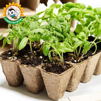 Pot de plantation biologique pour abeilles de jardin Kit de semis biologique pour plantes Semences Starter Cup Germination Trays Paper Pulp Peat Pot Nutrient Cups