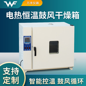 Horno de Secado Eléctrico de Temperatura Constante 350x350x350 de Acero Inoxidable con Aire Forzado para Laboratorio - Product Image 4