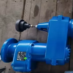 Pompa <span class=keywords><strong>a</strong></span> Cavità Progressiva A01 con Riduttore <span class=keywords><strong>a</strong></span> Ingranaggi e Controllo Meccanico della Velocità <span class=keywords><strong>a</strong></span> Volantino - Product Image 3