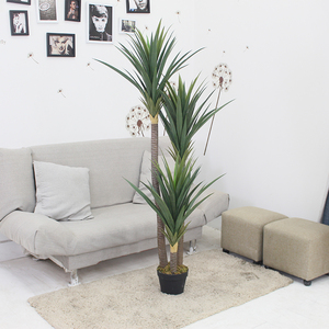 Chất Lượng Cao Phòng Khách <span class=keywords><strong>Yucca</strong></span> Trang Trí Nhựa Cây Nhân Tạo Cây Cây - Product Image 3