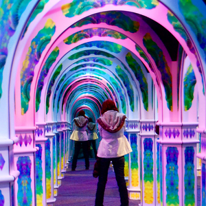 Sân chơi trong nhà thu hút thiết bị công viên gương Mê Cung trò chơi mê cung để bán trong trung tâm mua sắm - Product Image 5