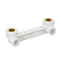 Haute durabilité rentable DN20 25 connexions en laiton PPR personnalisées Té à double filetage femelle