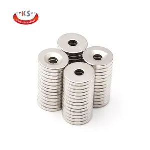 Appearance Reasonable Price Custom Modern Strong Suction Two Poles Disc Neodymium Magnet