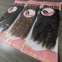 Extensions de cheveux synthétiques Passion Twist pour tresses africaines, extensions de cheveux bouclés crépus au crochet, type rideau 8X