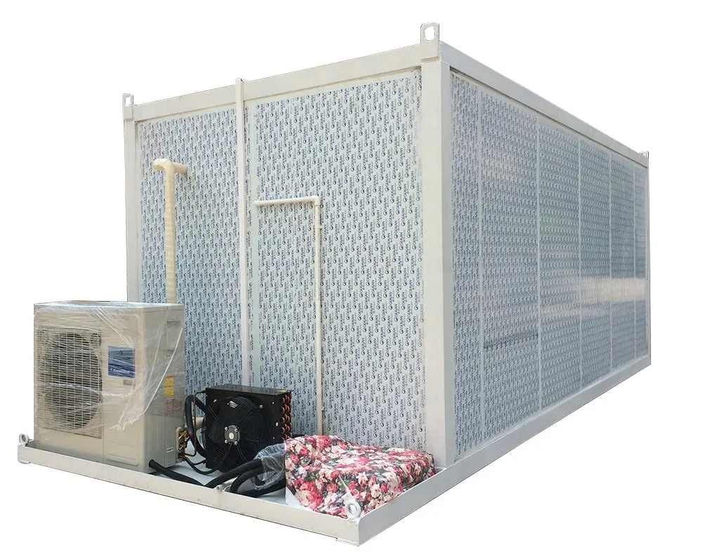Congelador de almacenamiento en frío de bajo coste, almacén de construcción, equipo de refrigeración, llave personalizada, congelador
