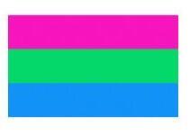 Polysexuelle