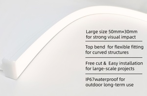 <span class=keywords><strong>5030</strong></span> Nouveauté Bande lumineuse néon flexible RGBW magique IP67 étanche Grande taille Bande lumineuse <span class=keywords><strong>LED</strong></span> néon RGB 24V Lumière linéaire <span class=keywords><strong>LED</strong></span> pour utilisation en projet - Product Image 4