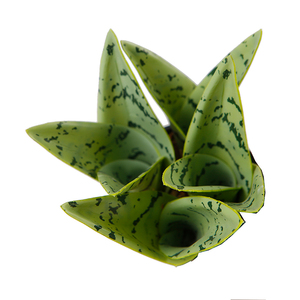 Plantes serpent artificielles de couleur verte, vente en gros, 300 CM, 14CM - Product Image 5