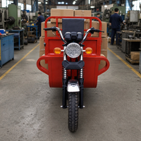 Tricycle de livraison de carburant avec caisse de chargement en acier, véhicule utilitaire à 3 roues alimenté par moteur à essence pour le marché des motos