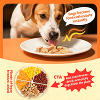 Pakan Anjing Kering Beku Formula Khusus Langsung dari Pabrik, Tinggi Protein, Bulu Berkilau, Semua Usia, Anak Anjing, Dewasa, Lansia