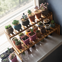 Support à plantes en bambou à 2 niveaux avec logo personnalisé de luxe, pour intérieur et extérieur, étagère de présentation pour pots de fleurs, balcon, jardin, organisateur de bureau
