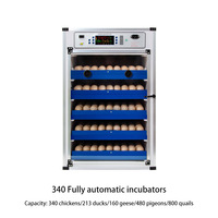 Incubateur automatique électronique mini capacité 68 œufs, machine à couver, éclosion d'œufs de poulet et de canard