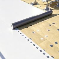 PENNROOF Membrane d'étanchéité pour murs extérieurs en TPO, écologique, haute résistance, résistante à l'eau et à la vapeur, moderne
