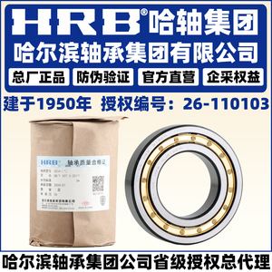 ตลับลูกปืนเม็ดทรงกระบอก Hrb รุ่น Nu317 ขนาด 85 มม. P0 C3 ซีลแบบลาร์บาทรี ผลิตในจีน - Product Image 1