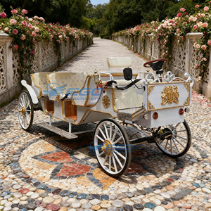Popular Carruaje Turístico de Tres Filas, Carruaje Eléctrico, Carruaje Multipersona, Limusina Blanca, Carruaje de Caballos <span class=keywords><strong>para</strong></span> Bodas - Product Image 1