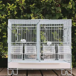 Holesale Rot arrot ibibiscus Bird Superposition artiartised rereeding Bird Cage